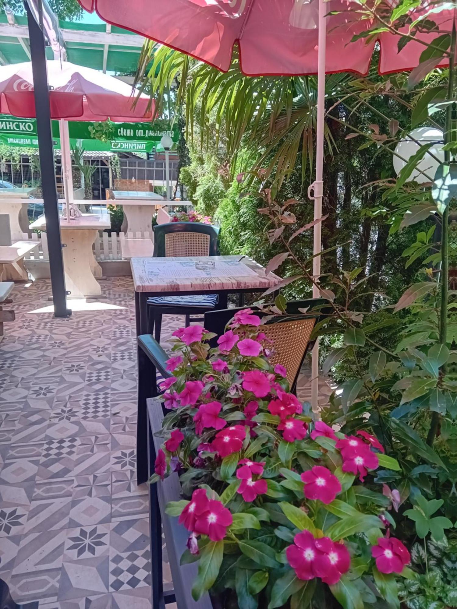 Guesthouse Oasis Kiten  Eksteriør bilde