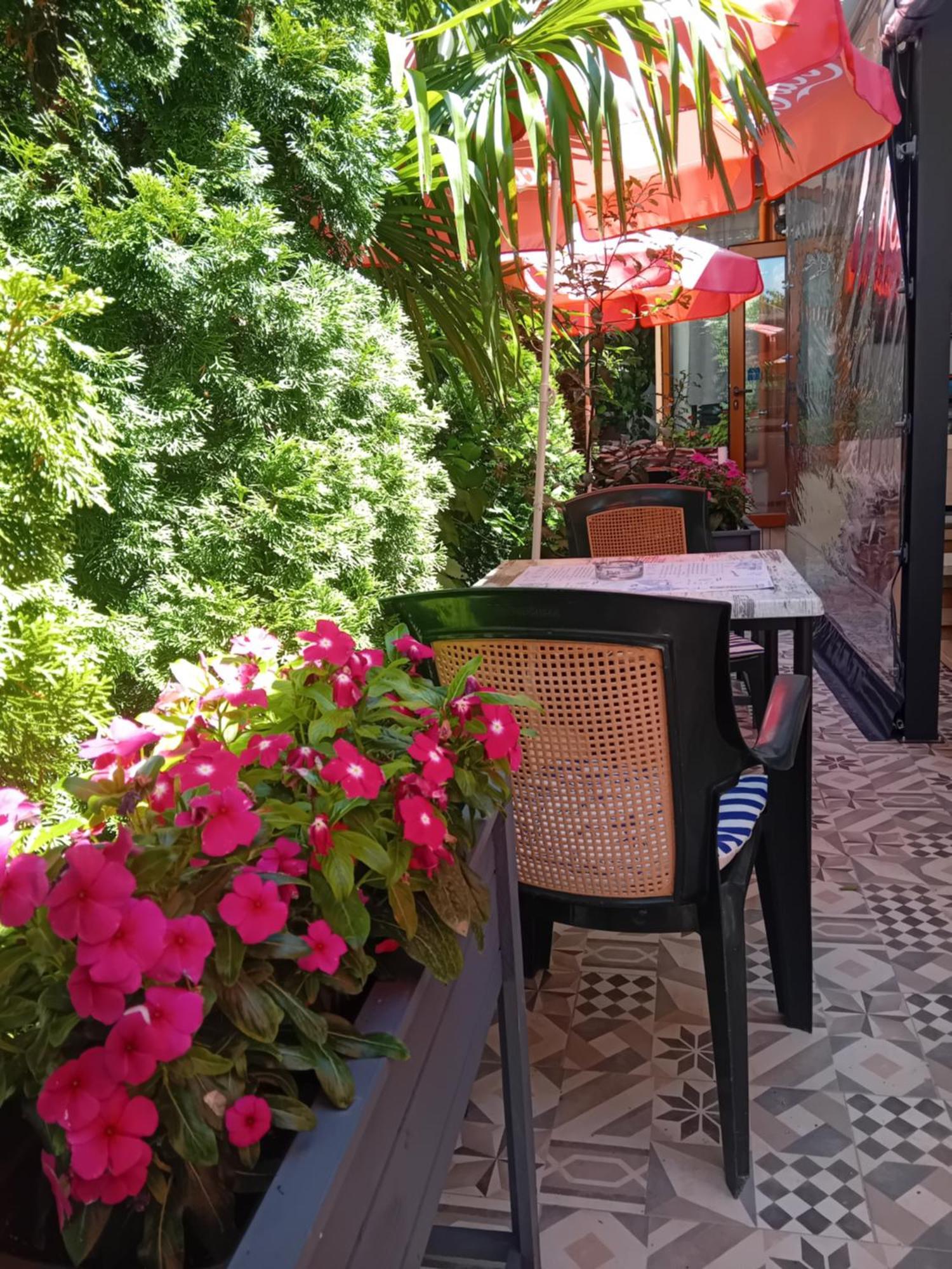 Guesthouse Oasis Kiten  Eksteriør bilde